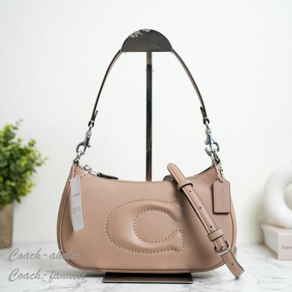 NWT Coach CR099 Teri Smooth Leather Crossbody Bag Purse in Silver/Taupe - Picture 1 of 11